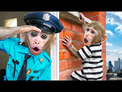 KiKi Monkey challenge Hide and Seek to escape from Prison Maze with Trap | KUDO ANIMAL KIKI