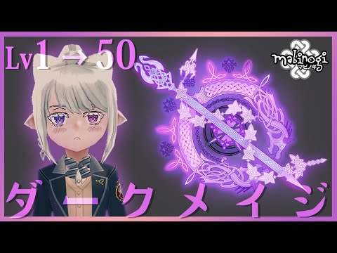 【mabinogi】プレシ夏2024！ダークメイジLv50レベリング編☄🪐🌌【にじさんじ / 樋口楓】