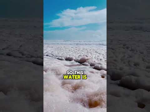 DO NOT Swim In This 😨 | Sea Foam #viral