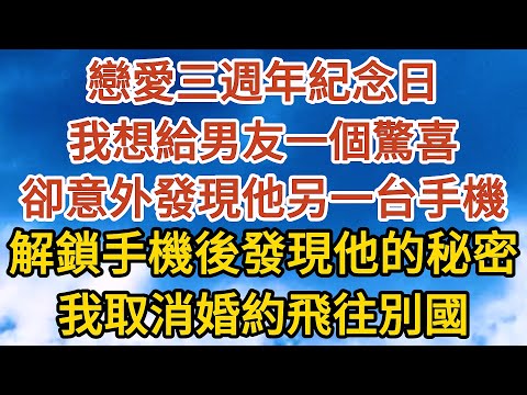 【完结】戀愛三週年紀念日，我想給男友一個驚喜，卻意外發現了他另一台手機，解鎖手機後發現他的秘密，我取消婚約坐上了飛往別國的飛機#故事#小說 #情感故事 #一口氣看完