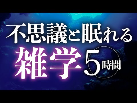 【睡眠導入】不思議と眠れる雑学5時間【合成音声】