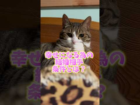 幸せな結婚とは？#cats#short#球太