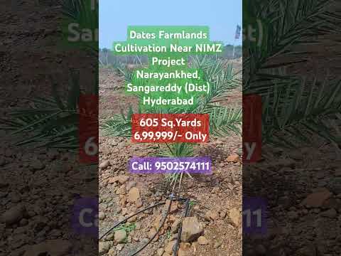 Farmlands Narayankhed, Hyderabad | 9502574111