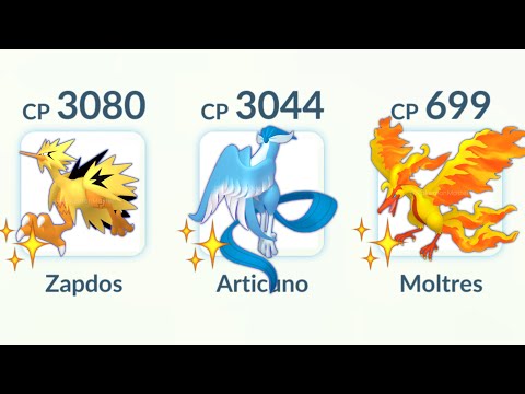 using ✨ SHINY GALARIAN (Zapdos, Articuno, Moltres) in Pokemon GO MASTER LEAGUE.