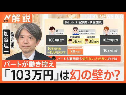 103万円は“幻の壁”か？ 年収1万円増で負担500円、専門家「配偶者特別控除を知らない人が多いのでは」【Nスタ解説】｜TBS NEWS DIG