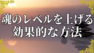 魂のレベルを上げる方法！自分の成長を導く5つのポイント