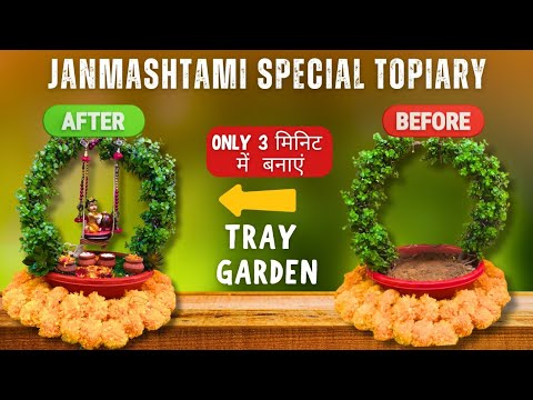 जन्माष्टमी स्पेशल Tray Garden बनाएं 3 Minutes में 💯 बजट फ्रेंडली ट्रे गार्डन अब बनाएं चुटकियों में🫰