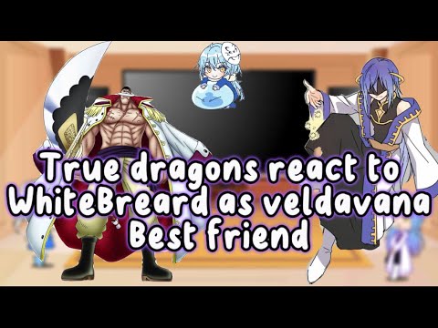 True dragons react to whitebeard as veldanava best friend|au