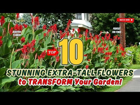 TOP 10 STUNNING EXTRA-TALL FLOWERS to TRANSFORM Your Garden! 🏡💐🌸  // Grdening Ideas