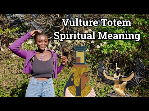 Vulture Spirit Animal Totem | The Groundskeeper