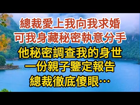 《BB被搶後》第08集：總裁愛上我向我求婚，可我身藏秘密執意分手，他秘密調查我的身世，一份親子鑒定報告，總裁徹底傻眼……#婚姻#情感故事#甜寵#故事#小說#霸總