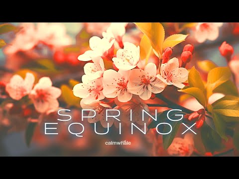 Spring Equinox Eclipse Gateway :: Intense Energy of Activation :: Handpan & Udu :: March 2024