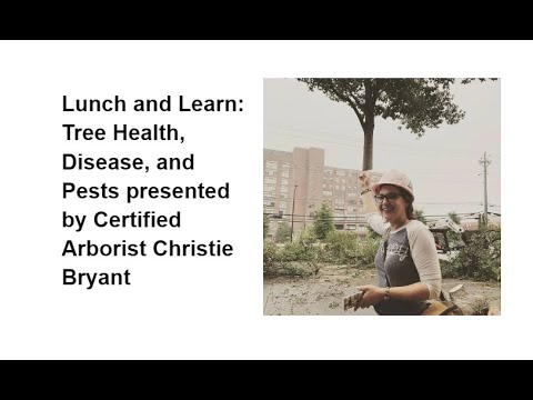 Tree Health, Diseases, and Pests presented by Certified Arborist Christie Bryant