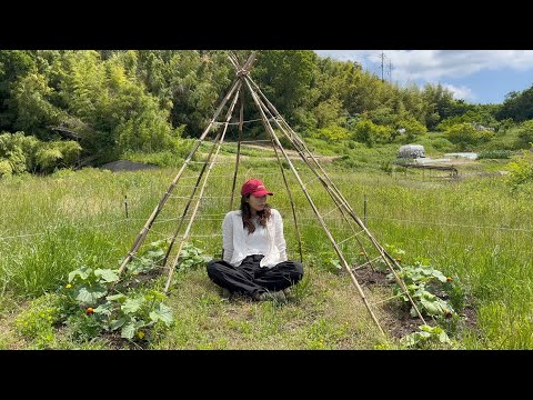 I'm going to make a cucumber teepee trellis.