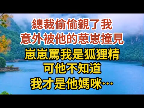 《BB被搶後》第05集：總裁偷偷親了我，意外被他的葸崽撞見，崽崽罵我是狐狸精搶了他爹地，可他不知道，我才是他心心念念的媽咪……#婚姻#情感故事#甜寵#故事#小說#霸總