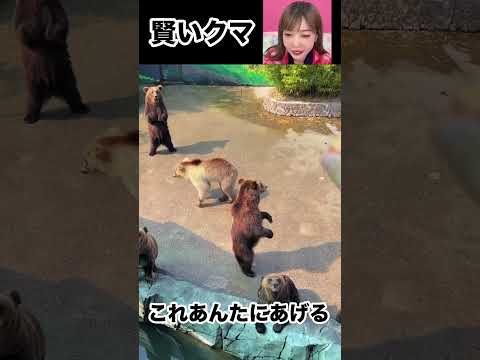 I want Ueno Zoo to do this trick. go see