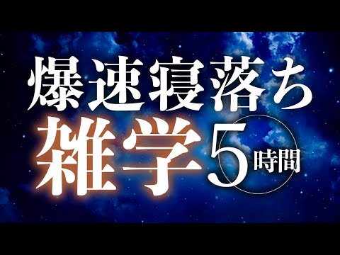 【睡眠導入】爆速寝落ち雑学5時間【合成音声】