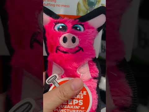 squeaky toy for dogs #shorts #pets #toys