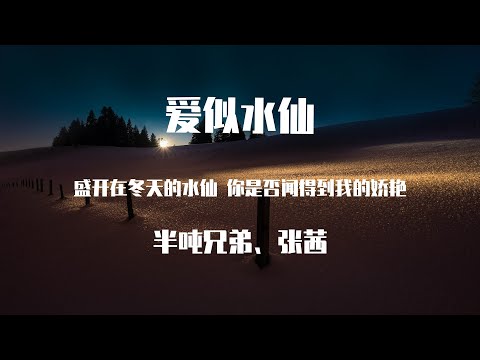 半吨兄弟、张茜 - 爱似水仙 （原唱：金海心 ）【動態歌詞】「盛開在冬天的水仙 你是否聞得到我的嬌艷」♪Lyrics Video♪