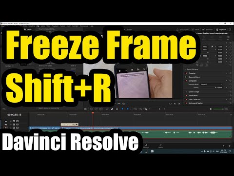 Freeze Frame (Davinci Resolve, Shift + R)