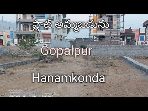 PLOT FOR SALE  // ప్లాట్ అమ్మబడును // Gopalpur  // Hanamkonda