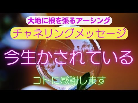 【チャネリングメッセージ】今生かされていることに感謝します