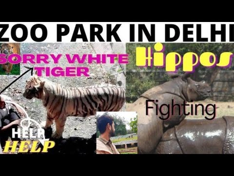 Vlog_3 Zoological park in delhi 😀 👍 || #Shorts #youtubeshorts #Zoo #Mr.indianhacker #Vlogs