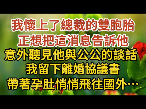 《隱藏孕肚離婚》第01集：我懷上了總裁的雙胞胎，正想把這消息告訴他，意外聽見他與公公的談話，我留下離婚協議書，帶著孕肚悄悄飛往國外……#戀愛#婚姻#情感 #愛情#甜寵#故事#小說#霸總