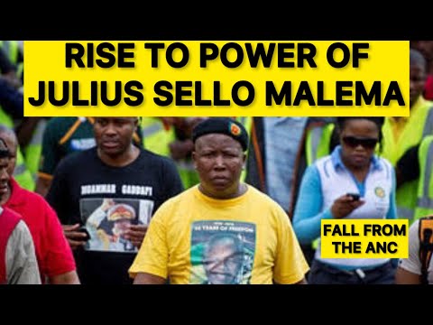 The Rise to Power of Julius Malema :The fall out from ANC - Part 2