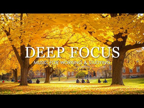 Deep Focus Music To Improve Concentration - 12 Hours of Ambient Study Music to Concentrate #791