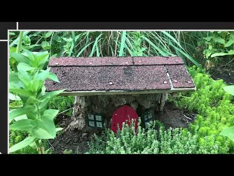 A Garden and Guitar