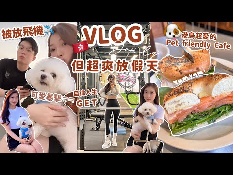 🇭🇰VLOG❤️被放飛機⋯但過得超爽的一天👌🏻最近的自律人生✔️推薦港島小狗也能去的Bagel店｜西九放呂布‼️🧸Heyman Lam🧸(含部份合作內容）