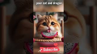 Cat Poor And Dragon fruit#fyp #viral #tiktok #funn