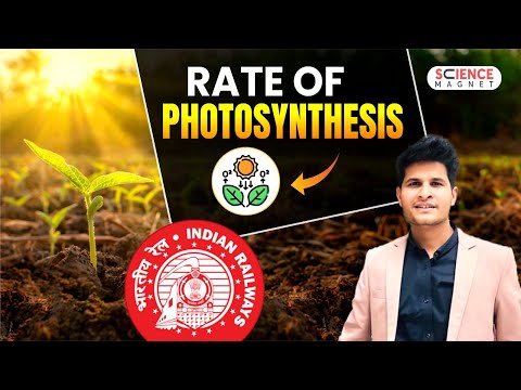 Railway Exams 2024-25 Rate Of Photosynthesis #neerajsir #sciencemagnet