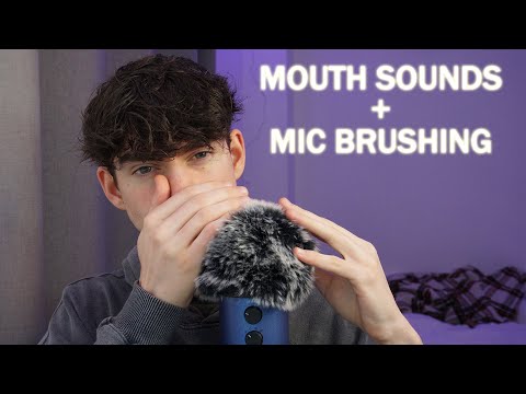 ASMR TINGLY Mouth Sounds & Mic Brushing