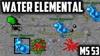 MS 53 WATER ELEMENTAL CAVE - BEST places to hunt for MAGES