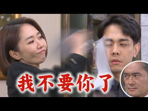 【願望】EP90 世賢承認有去找淑鳳...阿曼達臉色異樣 愛倫主動離婚!一一指責夫家│完全娛樂