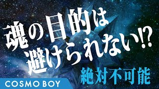 魂の目的を避けることは不可能!?生まれてきた意味とは!?