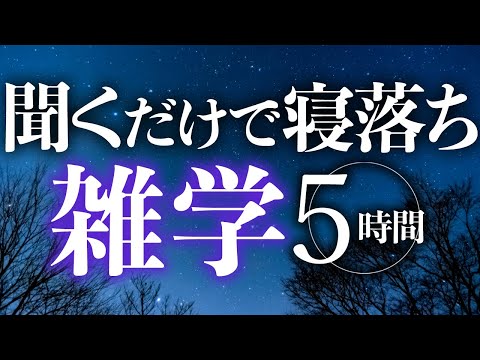 【睡眠導入】聞くだけで寝落ち雑学5時間【合成音声】