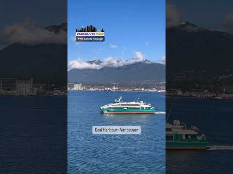 Sunny Winter Delight: Coal Harbour Glides | Vancouver Page