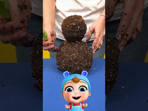 Make the Mudman!  #nurseryrhymes #childrensmusic #babymusic #liveaction