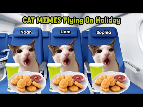 CAT MEMES Flying On Holiday