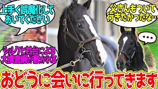 キタサンブラック「あれ、息子がいないな…」に対するみんなの反応！【競馬 の反応集】