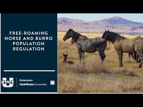 Free-roaming Horse and Burro Population Regulation