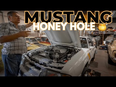 I found THE “Honey hole” of Foxbody Mustangs