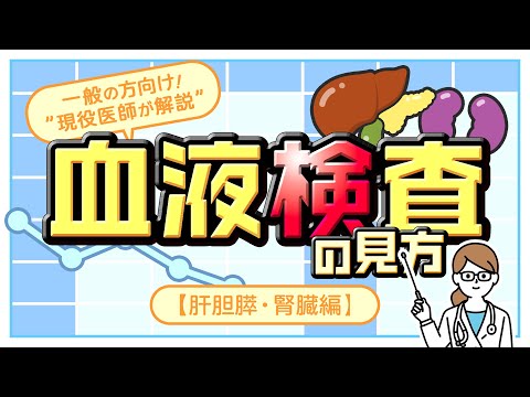 血液検査の見方①【肝胆膵・腎臓編】 〜 一般の方向け！“現役医師が解説" 〜