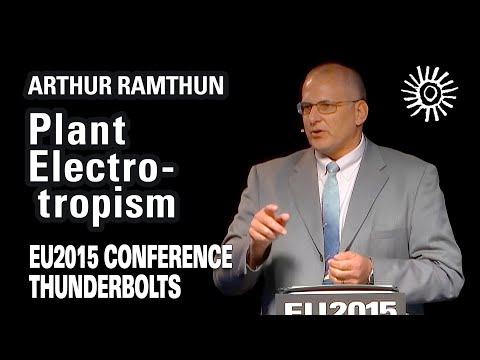 Arthur Ramthun: Plant Electro-tropism | EU2015