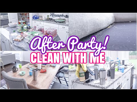 AFTER PARTY CLEAN WITH ME | COMPLETE DISASTER CLEANING | REAL LIFE MESS | ACTUAL MESS