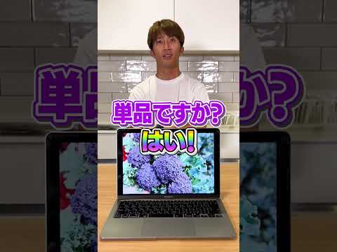 【WESTube】超難問！？濵田崇裕のアキネータークイズ！