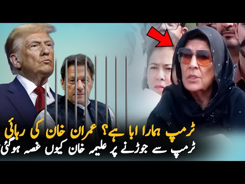 Aleema Khan Angry On Journalist Talking About Trump, Report | PTI News | IK News Report